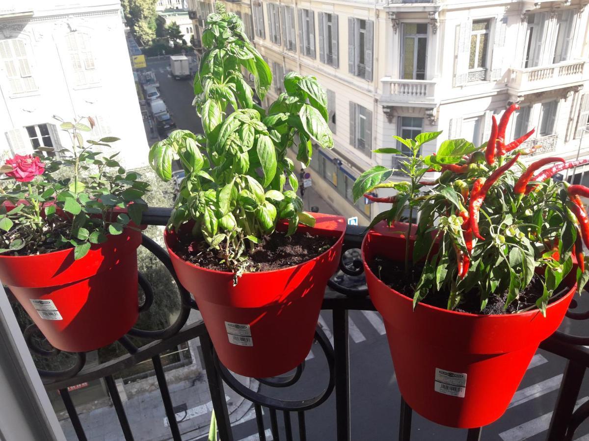 Bella Privatunterkunft Nizza